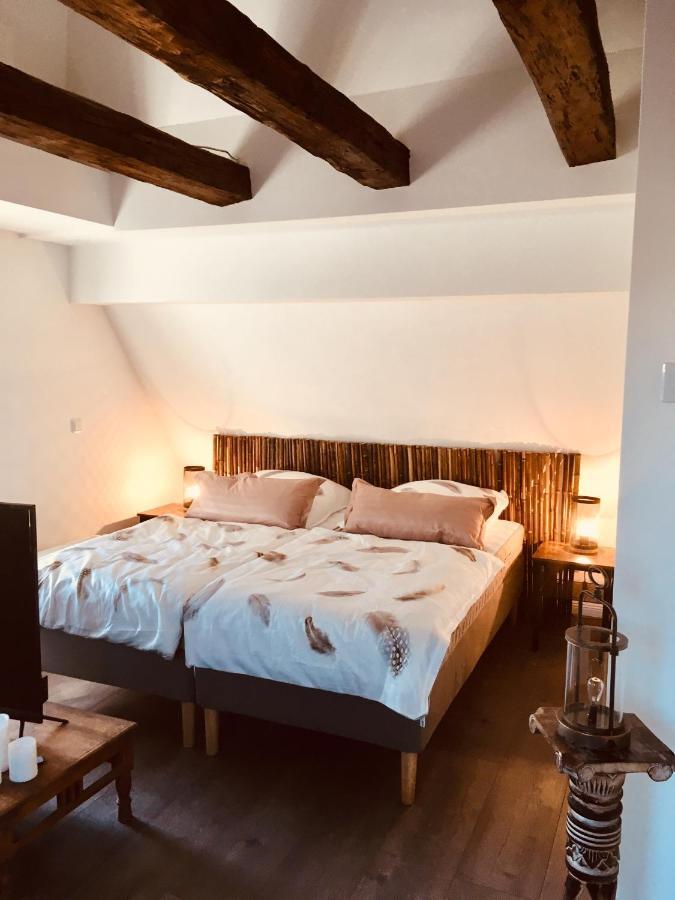 Freigeist Ferienwohnungen Haßloch Extérieur photo